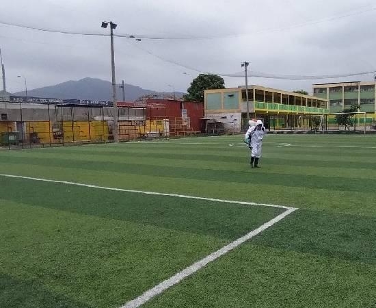 desratizacion de espacios deposrtivos