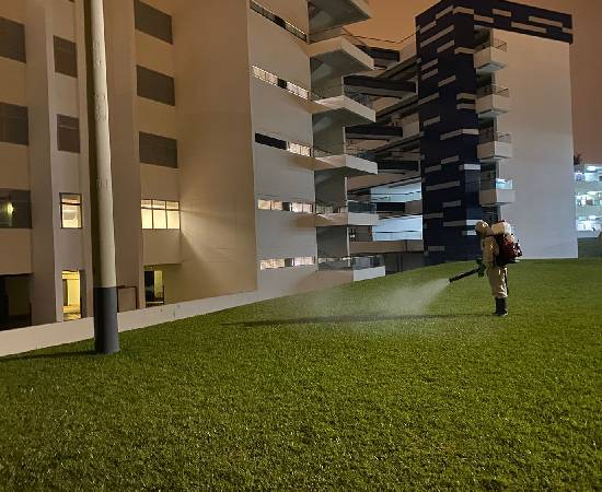 Servicio de Desratización para Condominios Privados