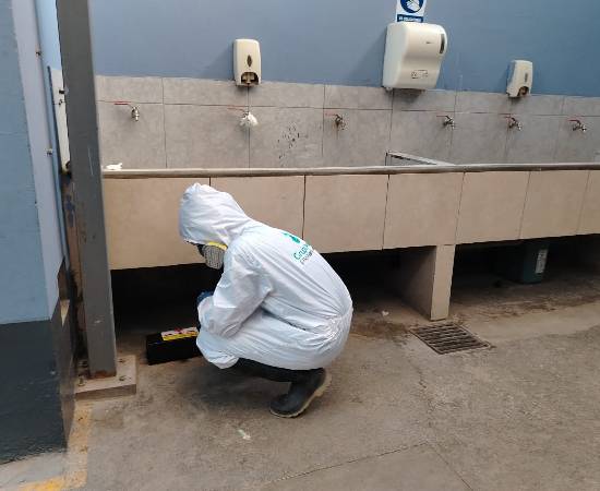 Servicio de Desratización en Lince